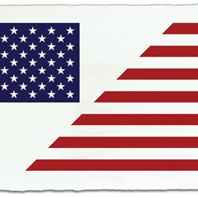 "Stars" & Stripes - America Divided by Rene Gagnon