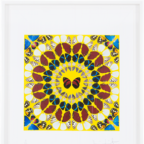 Miracle (First Edition) by Damien Hirst