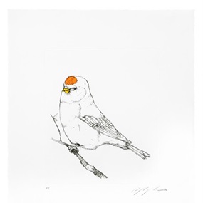 Perturbed Bird by Sage Vaughn
