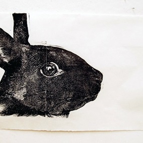 Black Rabbit by Gaia