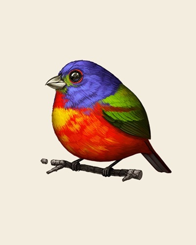 Fat Bird - Painted Bunting  by Mike Mitchell