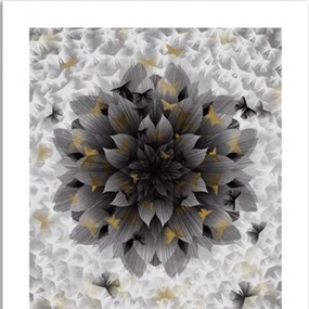 Just An Illusion 2 (Silver) by Kai & Sunny
