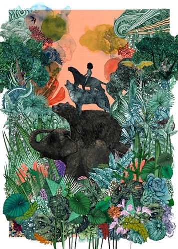 The Jungle Book  by Lucille Clerc
