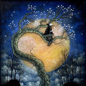 Night Bloom by Andy Kehoe
