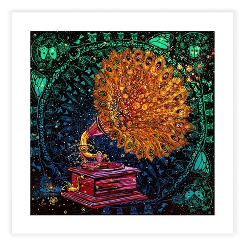 The Goldfeather Player  by James R. Eads