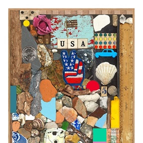 USA Series: Stones And Shells by Peter Blake