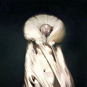 Morphine by Michael Hussar