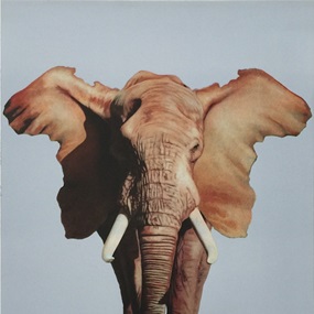 African Elephant (First Edition) by Ron English