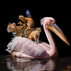 Uneasy Truce by Lisa Ericson
