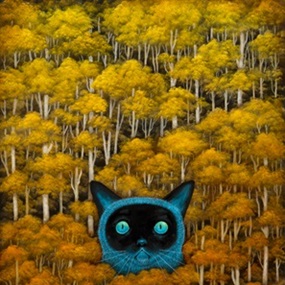 Eyes Of The Wild Wonder by Andy Kehoe