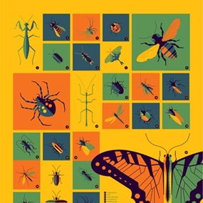 Insects And Spiders by Tom Whalen