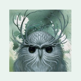 Snow Owl (Second Edition) by Jeff Soto