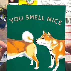 You Smell Nice by Steve Powers