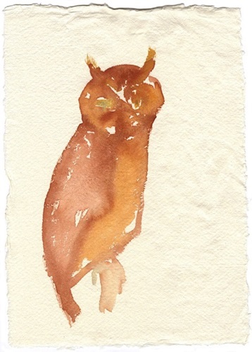 Mountain Owl  by Joan Jonas