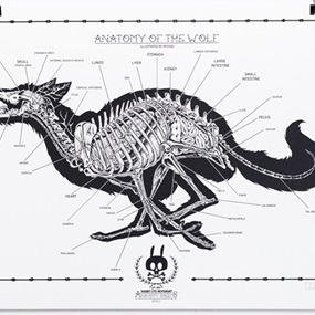 Anatomy Of The Wolf: Anatomy Sheet No.12 by Nychos