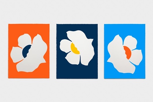 Three Blooms  by Paul Kremer