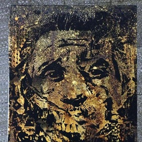 Morphed (First Edition) by Vhils