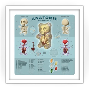 Anatomie by Jason Freeny