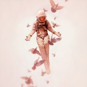 Wilderness (Timed Edition) by Jeremy Geddes