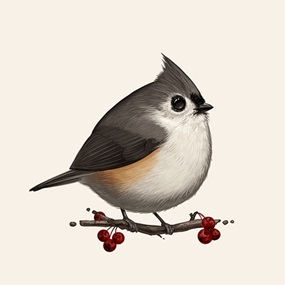 Fat Bird -  Tufted Titmouse by Mike Mitchell