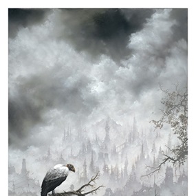 King Vulture (First Edition) by Brian Mashburn