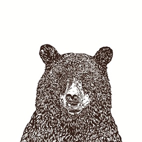 Bear by Susie Wright