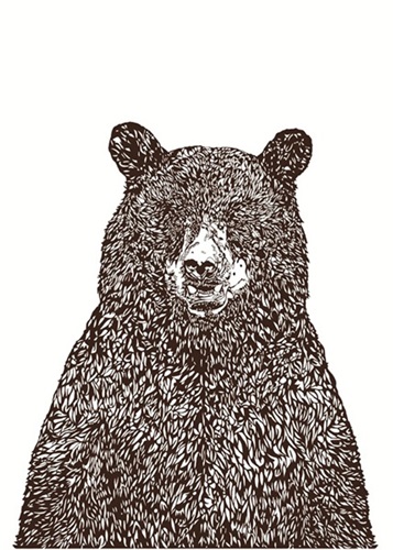 Bear  by Susie Wright