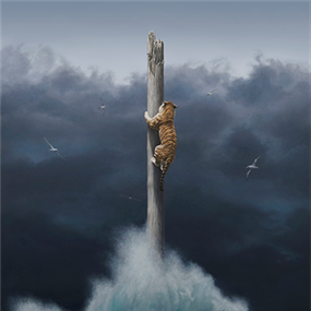 Conquest by Joel Rea