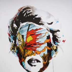 Cage Study: Fragile Heroes by Sandra Chevrier