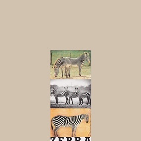 Z Is For Zebra by Peter Blake