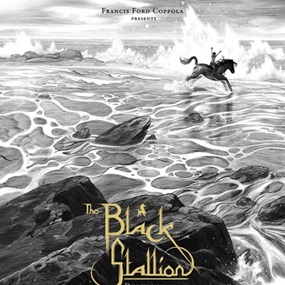 The Black Stallion by Nicolas Delort