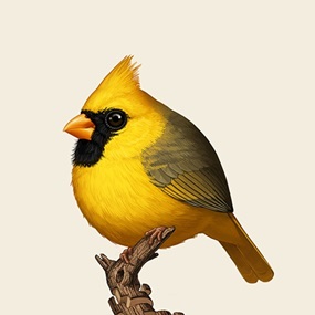 Northern Cardinal (Yellow) by Mike Mitchell