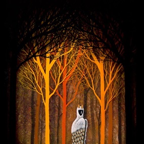 Forest Of Illumination by Andy Kehoe
