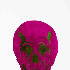 The Dead (Fuschia Pink Lime Green Skull) by Damien Hirst