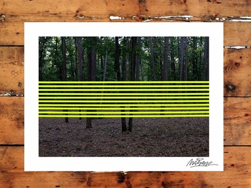 Forrest  by Maser