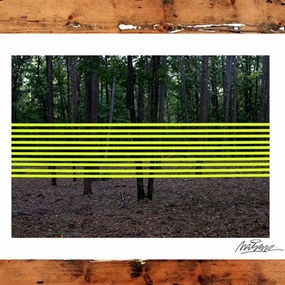 Forrest by Maser