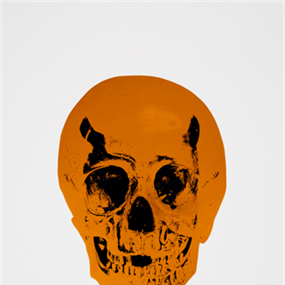 The Dead (Island Copper Raven Black Skull) by Damien Hirst