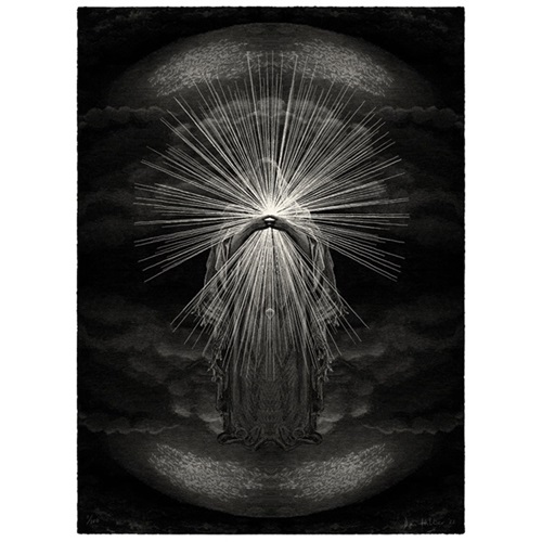 Older Light  by Dan Hillier