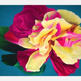 Nebula Rose by Sophie Mess