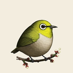 Japanese White-Eye by Mike Mitchell