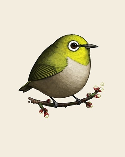 Japanese White-Eye  by Mike Mitchell