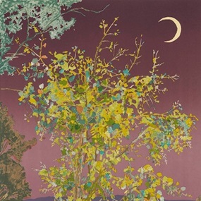 Desert Poplar, Dusk by Hayley Barker
