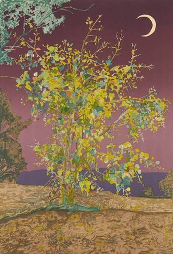 Desert Poplar, Dusk  by Hayley Barker