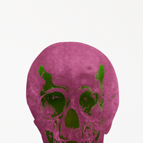 The Dead (Loganberry Pink Lime Green Skull) by Damien Hirst
