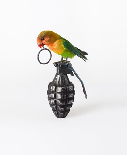 Lovebird With Grenade  by Nancy Fouts