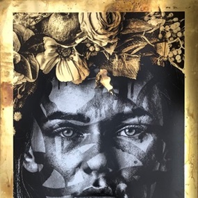 Transcend  (v2) (Brass) by Snik