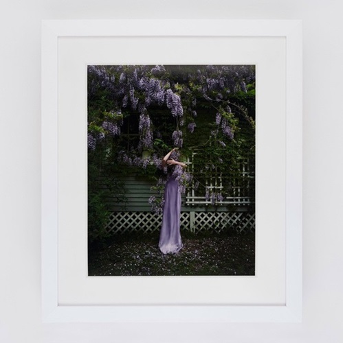 Wisteria  by Cig Harvey
