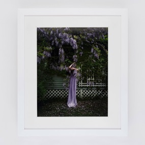Wisteria by Cig Harvey