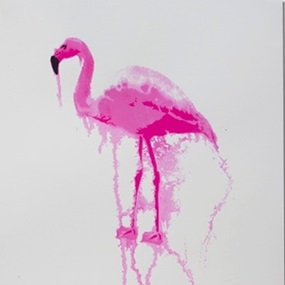 Flamingo (First edition) by Nicole Tattersall