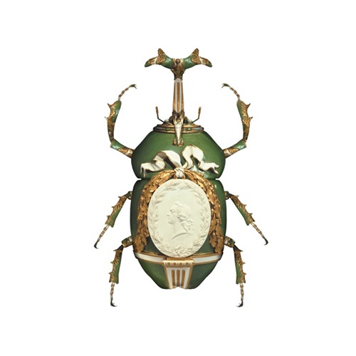 Sevres Eudicella Gralli  by Magnus Gjoen